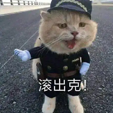 不要靠近,会直接坐牢丨第150期喵表情
