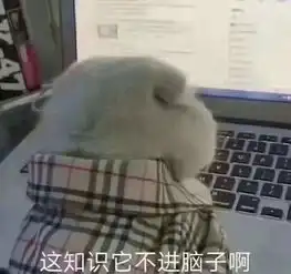 计算机专业大学生应该在大学四年踏实学哪些东西
