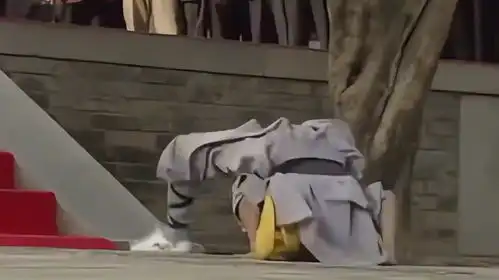 普京拜访嵩山少林寺,武僧表演中国功夫,普京看得目不转睛
