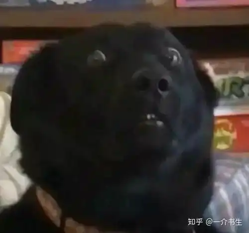 在烟台大学上学是什么体验
