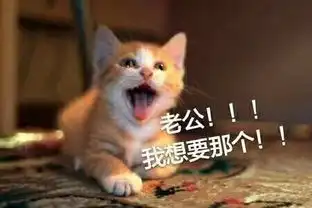 喵星人喊老公表情包无水印版
