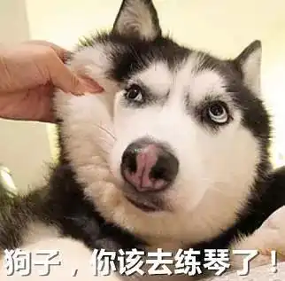 练琴的搞笑表情包笑的琴都会自动演奏了
