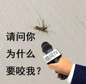 请问你为什么系列表情包大全
