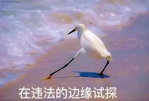 试探表情包合集搜狐搞笑搜狐网
