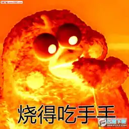 你的良心不会炸吗表情包下载红烧良心表情包完整版下载飞翔下载

