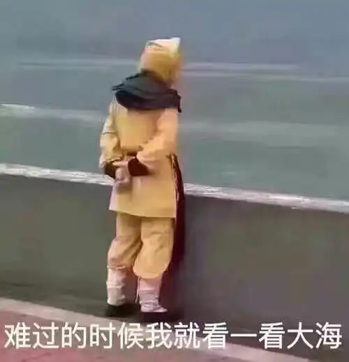 鹅们有自己一个人去外地找工作的吗
