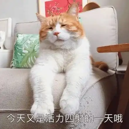 春天不是读书天快来加入唤醒春日计划
