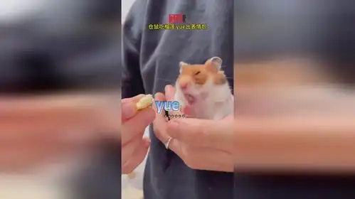仓鼠吃榴莲,yue出表情包
