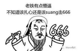 荷兰教练文森特总结了十点避免摔马的技巧
