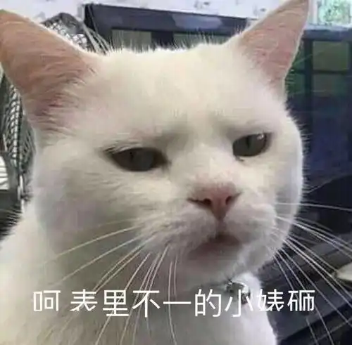 沙雕表情你看起来不正常
