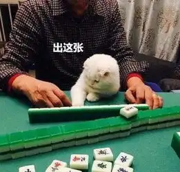 猫咪围观主人打麻将,看这一脸忧愁的表情,怕是今天要输钱了
