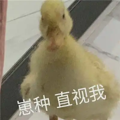 2021最新微信暴躁聊天表情包最经典暴走表情合集
