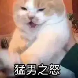 又是希望没有蚊子的一天表情包请问你为什么要咬我