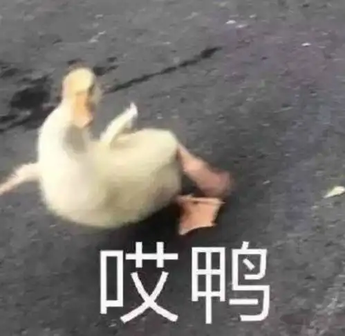 姐这回是喜事将近了吧机场生图全身裹紧但手上鸽子蛋实在太闪
