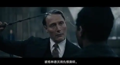 神奇动物邓布利多之谜正式中字预告公布
