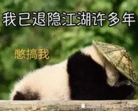 当熊猫把腿伸出后,露出本大爷的表情,确定不是真人
