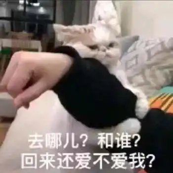 生活不易猫猫叹气可爱的猫咪表情包

