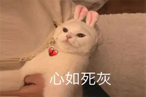 汉语好学吗看外国人那表情,网友像极学英语的我
