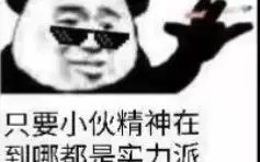 端午节肥宅撸猫,依然抗拒出镜的阿皮不要问我为什么没上学
