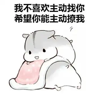 仓鼠表情包可以带我一起玩嘛
