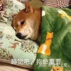 蹦极时跳下的那一刻是什么感觉
