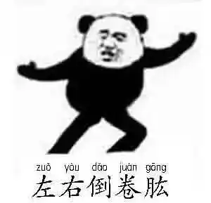 熊猫头太极拳招式表情包白鹤亮翅双峰贯耳
