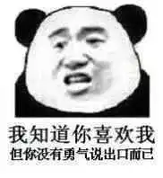 熊猫头表情包你怎么聊着聊着就不见了
