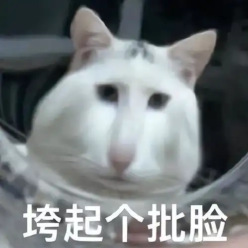 套路对象表情包
