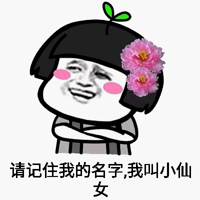 本仙女无所畏惧表情包
