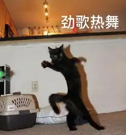 下班后的你,哪个才是真正的你呢
