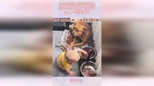 宝宝把狗粮泡进奶盆里,狗子表情仿佛千言万语,主人一旁笑疯了
