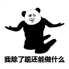 丁真的未来是远大的,首先要帮他降热度,无法转...

