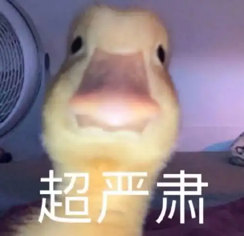 搞笑动物表情包
