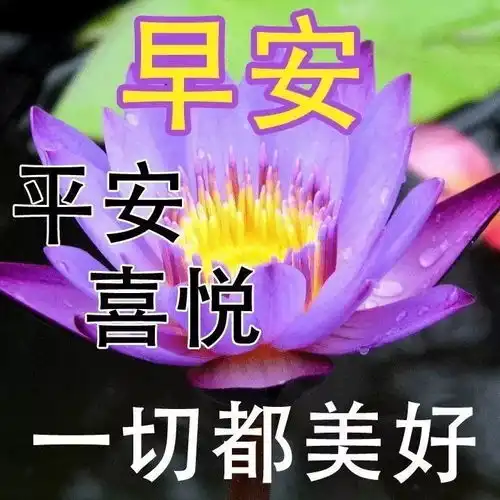 晚安朋友微信朋友圈最新晚安问候语正能量图片带字,中老年走心问候小表情
