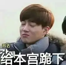 exo表情包suhoquot我去,给本宫堆糖,美好生活研究所