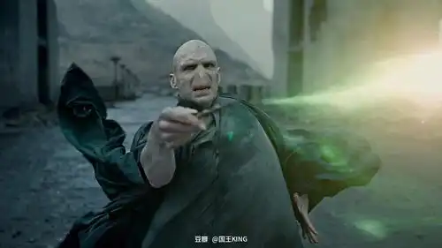 哈利波特重温58邓布利多从来都不是老魔杖的主人,伏地魔才是
