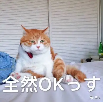 中国表情包文化强势输出,日本网友已被征服
