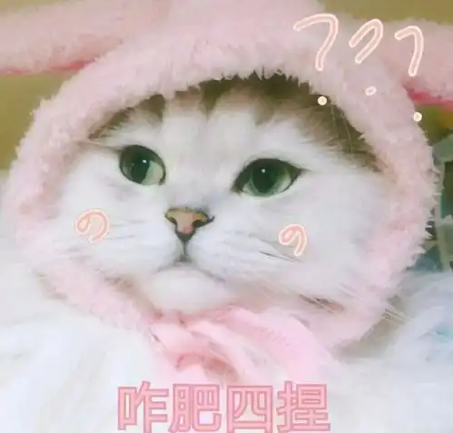 您的flag实现指南,请尽快查收
