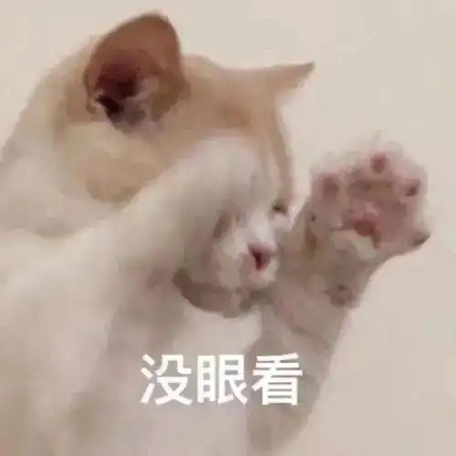 说了多少次猫和狗不能同时养不然早晚得疯一个
