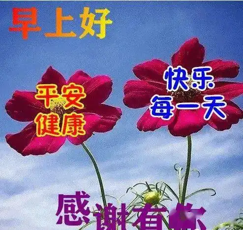 祝福一位朋友,是笑看短信的你
