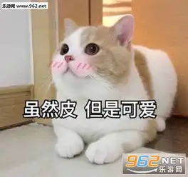 虽然皮但是可爱表情包猫图片时代变了大人表情包下载乐游网游戏下载
