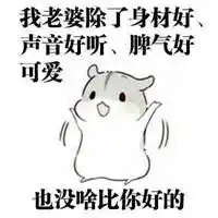 哄老婆搞笑表情包微信头像图片大全
