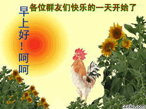 早晨好图片精选早晨好动态图

