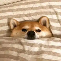 我们明天不见不散
