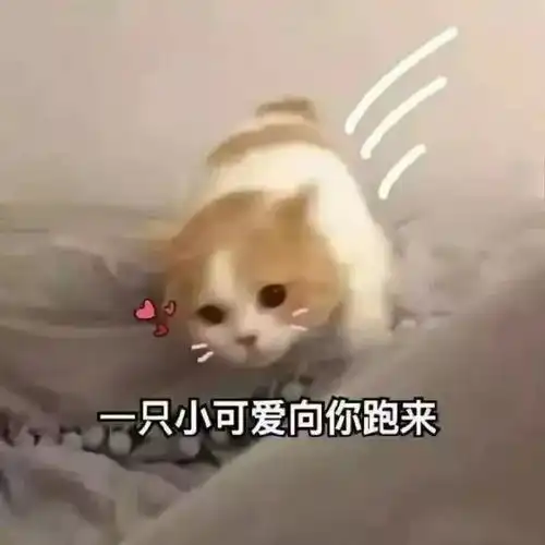 谁穿谁像姨太太的晚晚风,只有她仿到连本尊都傻傻分不清楚...
