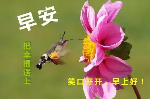 2022最新早上好问候语及关心的话冬天清晨早安祝福表情图片短信大全
