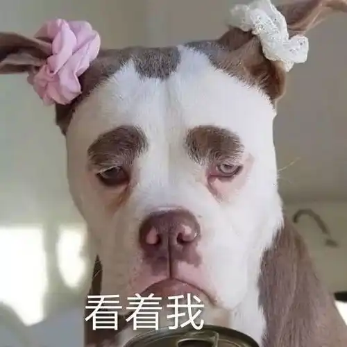 39岁女星公开做换血治疗,30万一次不如换脑
