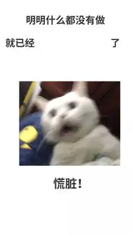 史上最全斗图装逼指南,给你们一个偷我表情包的机会
