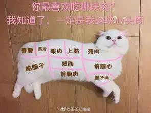 猫咪表情包土味情话
