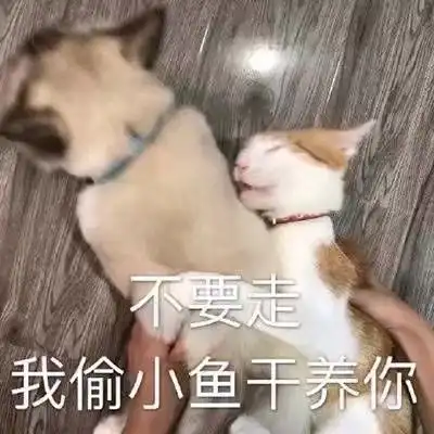 影视